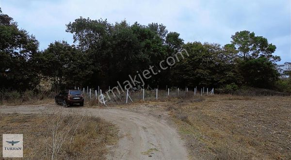 Turhan Emlaktan Pınarçada İmar İçinde 655 M2 Tek Tapu Tarla