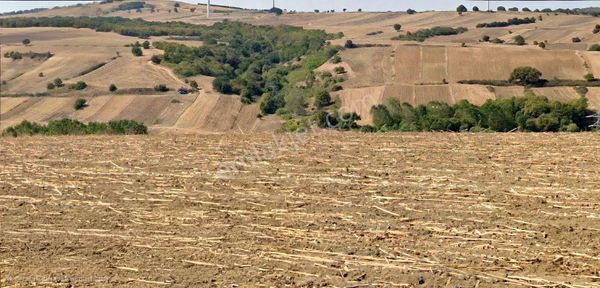 Silivri Büyükkılıçlı Satılık Tarla