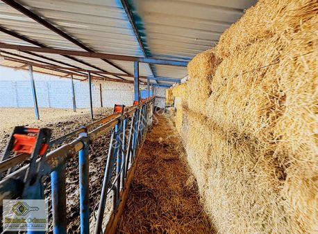 Emlak Odam'dan Konya Şatırda Kelepir Çiftlik 2000 M²