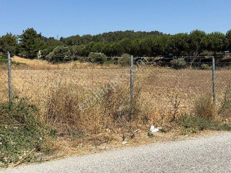 Yalova Merkez Safran Köyünde Satılık Tarla