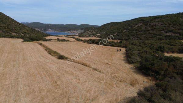 Ece Limanı'nda, Denize Sadece 500 Metre, Eşsiz Manzaralı 6.274 M2 Arazi