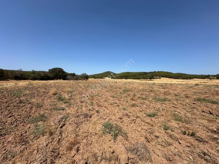 Yatırımlık Tarla!! Çanakkale Eceabat Beşyol'da Satılık 3.993 M2 Arazi !!!!