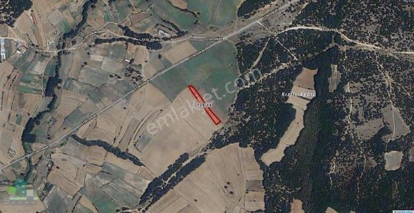 Tekirdağ Saray, Küçükyoncali Da 300m² Satilik Tarla