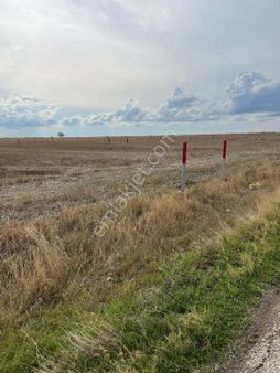 Kırklareli Babaeski Karahalil Kemalpaşa Satılık Tarla