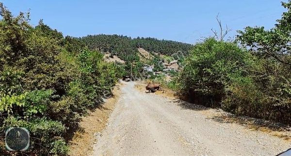 Altıeylül Çamköy Mahallesi Satılık 441 M2 Arsa