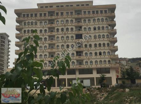 Ravza Caddesi Satılık 3 Katlı Dükkan Liman'da