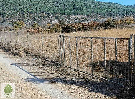 Muğla Menteşe Çiftlik'te Tel Çit İle Çevrili Satılık Tarla...