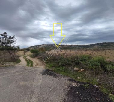 Şahinbey Morcalı Da Çok Uygun 5.350 M2 Tek Tapu Zeytinlik