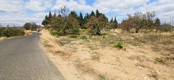 Tekirdağ Şarköy Kirazlıda Mukemmel Konumda