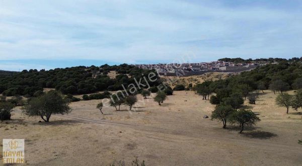 Assos Eşsiz Midilli Manzaralı Ekoya Uygun Tarla