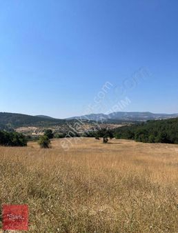 Bursa Harmancık 14.190 M2 Satılık Tarla