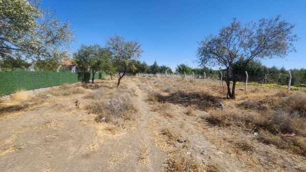 Karaca'dan Hatıp'ta Müstakil 738 M2 Müstakil Tapu Satılık Bahçe