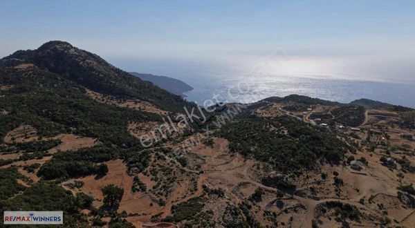 Fethiye Karaağaç Deniz Ve Doğa Manzaralı Satılık Tarla