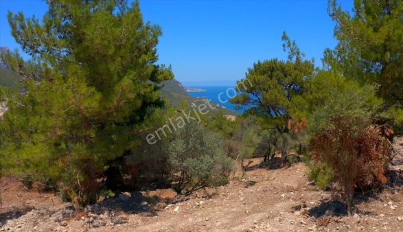 Karaburun Eşendere'de Sahile Çok Yakın Deniz Manzaralı Tarla