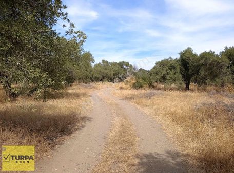 Torbalı Karakuyu Satılık Müstakil Tapulu Tarla