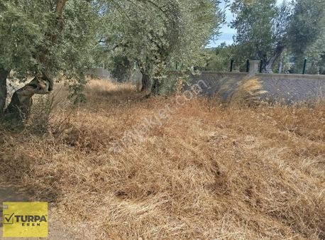 Torbalı Karakuyu Satılık 2500 M² Hisse Tapulu Tarla