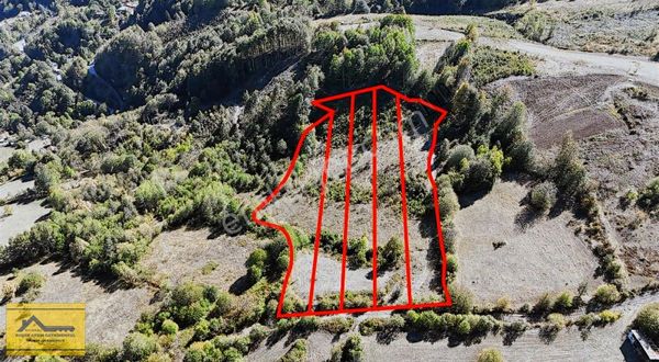 Ruşen Aydın Gyd'dan Kaynaşlı Yeniyurt'ta Satılık İmarlı Arsalar