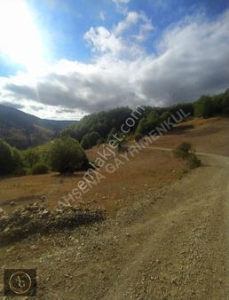 Ahşena'dan Samsun Bafra'da Yola Cephe 2079 M2 Satılık Arazi