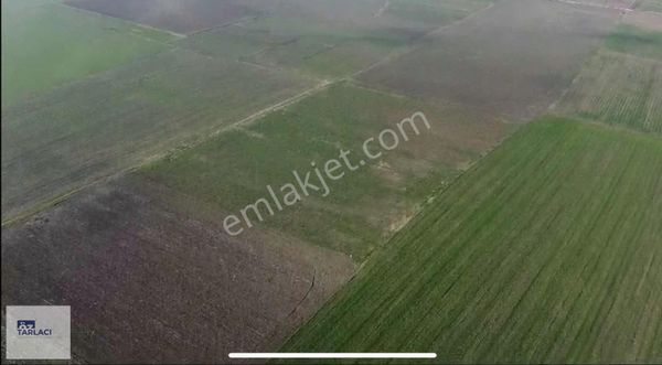 Mkp Ormankadı'da 12.152m Satılık Tarla