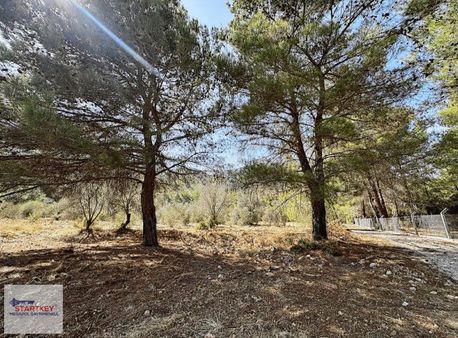 Urla/zeytinler Köyü Satılık Arsa