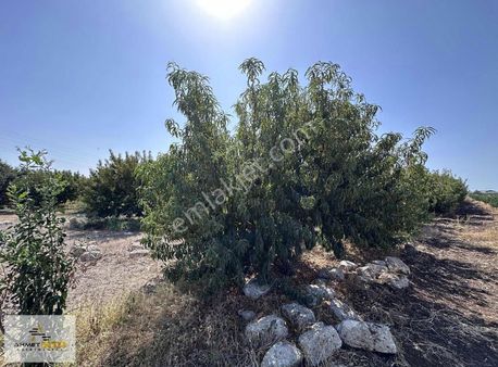 Ahmet Kara'dan Demirhisar-karacailyas Yolunda Satılık Bahçe