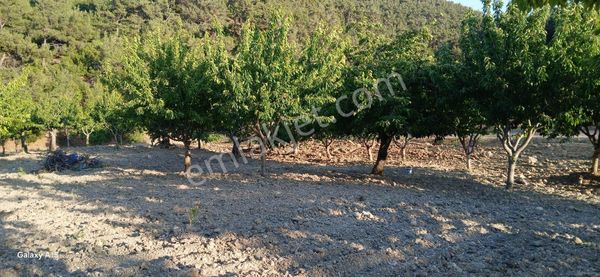 Sertaç Gayrimenkul Damlacıkta 2300m. Bahce