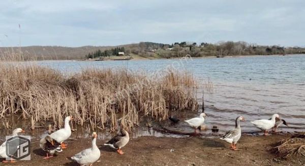 İg İnşaat'tan Yeni Mahalle'de Masrafsız Lüks 1+1 Daire !!!