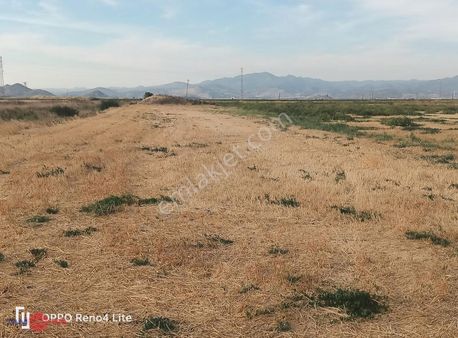 Bergama Tekkedere Satılık 12.050 M2 Tarla