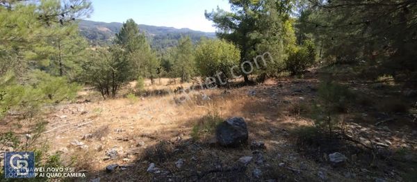 Muğla Denizova Yol Cepheli Yatırımlık Tarla