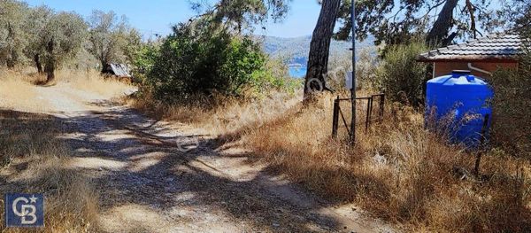 Selda Kozalı'dan Akbük Koyu Kupon Parsel