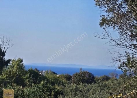 Mudanya Esence De Satılk 1300 M2 Yol Kenarı Bahçe Resital Big De