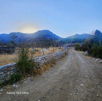 Havadar Konumda Tarla