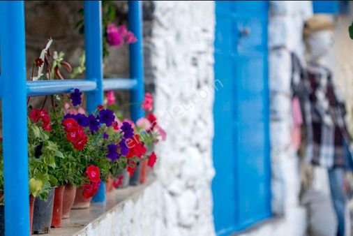 İzmir Katip Çelebi Üniversitesi Yakını Günlük Kiralık Apart