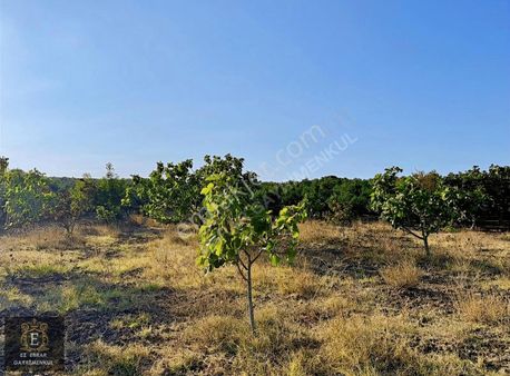 Mudanya Yalıçiftlik'te 3200 M2, Yatırımlık Arazi