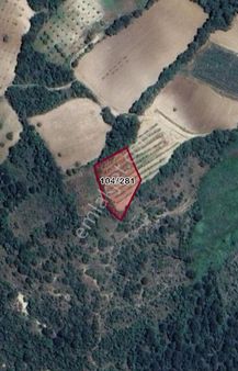 Bursa İnegöl Sarıpınarda Yolu Suyu Olan 1.119 M2 Satılık Tarla