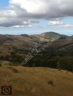 Ahşena'dan Samsun Bafra'da 2636 M2 Yatırıma Uygun Fırsat Arazi