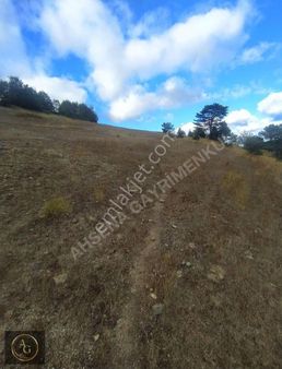 Ahşena'dan Samsun Alaçam'da Yatırıma Uygun 3614 M2 Satılık Arazi