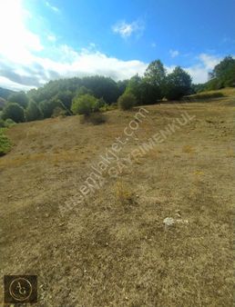 Ahşena'dan Samsun Alaçam'da 4522 M2 Kaçırılmayacak Fırsat Arazi