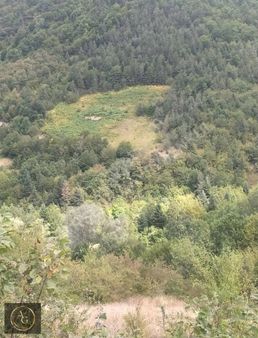 Ahşena'dan Samsun Alaçam'da Çay Kenarı 2995 M2 Satılık Arazi