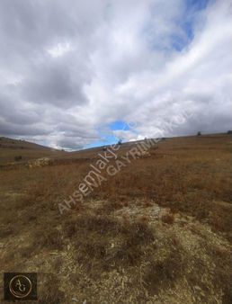 Ahşena'dan Samsun Bafra'da Yola Cephe 3089 M2 Satılık Arazi