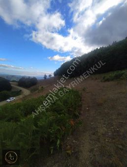 Ahşena'dan Samsun Bafra'da Yatırıma Uygun 3778 M2 Satılık Arazi