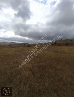 Ahşena Gayrimenkul'den Samsun Bafra'da Yola Cephe Fırsat Arazi