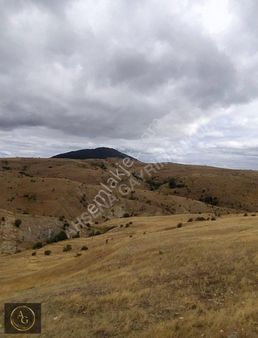 Ahşena Gayrimenkul'den Samsun Bafra'da 8470 M2 Yola Cephe Arazi