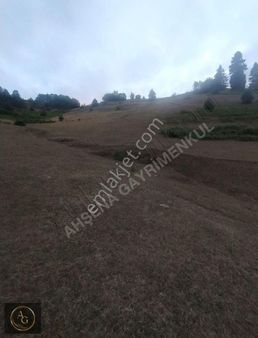 Ahşena'dan Samsun Alaçam'da Doğa Manzaralı 4852 M2 Satılık Arazi