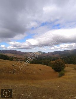 Ahşena'dan Samsun Bafra'da 3200 M2 Satılık Arazi