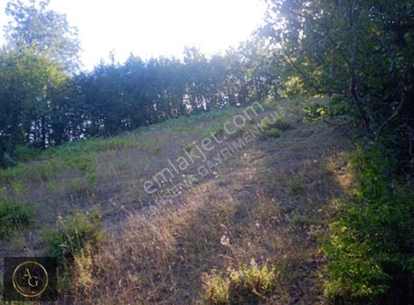 Ahşena'dan Samsun Alaçam'da Dere Kenarı 2943 M2 Satılık Arazi