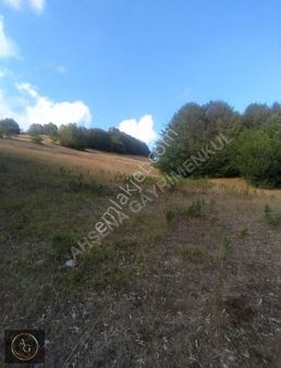 Ahşena'dan Samsun Bafra'da Yatırıma Uygun 5366 M2 Satılık Arazi