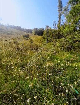 Ahşena'dan Bursa Kestelde Resmi Yola Cephe 4482 M2 Satılık Arazi