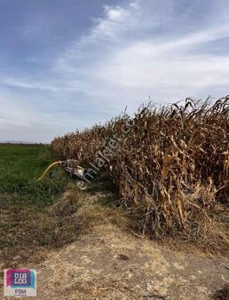 Bursa Mustafakemalpaşa Yeşilova Mah.