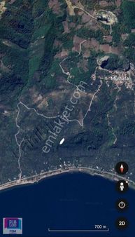 Göle 300 Metre Uzaklıkta! İznik Mustafalı Köyünde 974m2 Zeytinlk